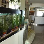 Hotel Orchidea