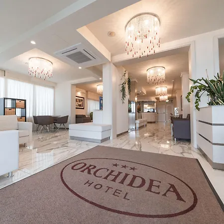 Orchidea