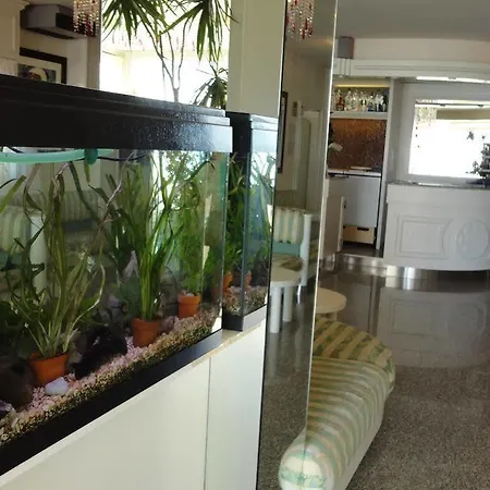 Hotel Orchidea
