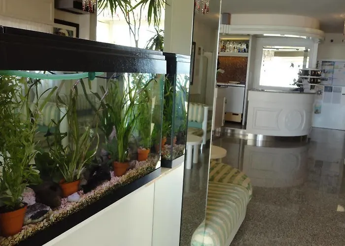 Hotel Orchidea