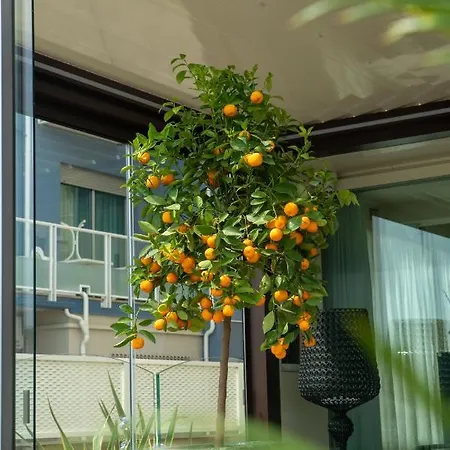 Hotell Orchidea Cervia