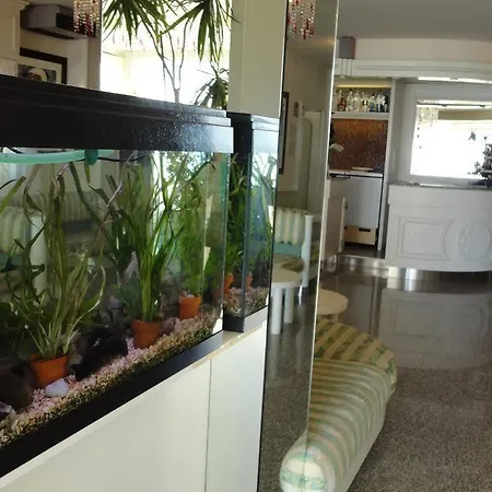 Hotell Orchidea